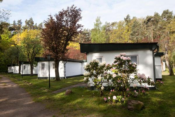 Meeressterne Ferienresort Damerow Koserow Luaran gambar